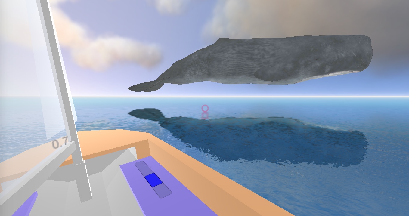 VR whale